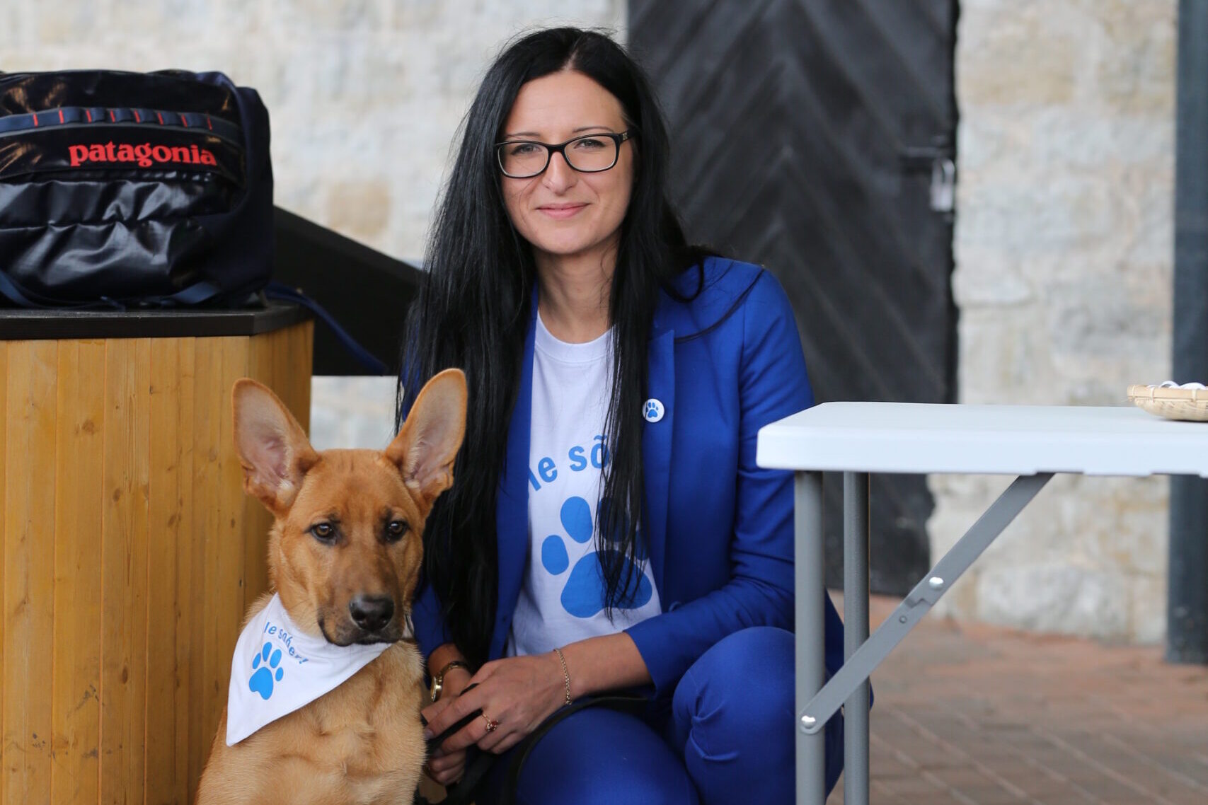 Ilutulestikud mõjuvad loomadele piinavalt - фейерверки это издевательство над животными